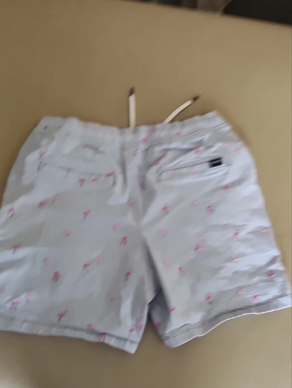 Hollister Light Blue Jogger Shorts 7